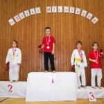 des "Shiai Karate Do" Vereins Wien