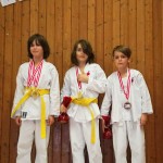 des "Shiai Karate Do" Vereins Wien