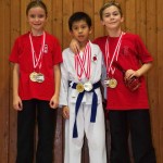 des "Shiai Karate Do" Vereins Wien