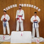 des "Shiai Karate Do" Vereins Wien