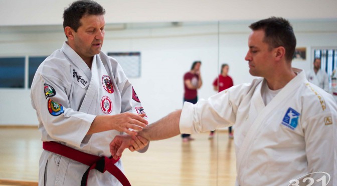 Kyusho Jitsu Seminar in Wien 22 mit Zendoryu und Kyusho GM Manfred Tiefenbach