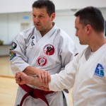 Kyusho Jitsu Seminar in Wien 22 mit Zendoryu und Kyusho GM Manfred Tiefenbach