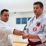 Kyusho Jitsu Seminar in Wien 22 mit Zendoryu und Kyusho GM Manfred Tiefenbach