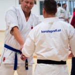 Kyusho Jitsu Seminar in Wien 22 mit Zendoryu und Kyusho GM Manfred Tiefenbach