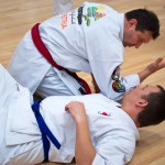 Kyusho Jitsu Seminar in Wien 22 mit Zendoryu und Kyusho GM Manfred Tiefenbach