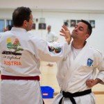 Kyusho Jitsu Seminar in Wien 22 mit Zendoryu und Kyusho GM Manfred Tiefenbach