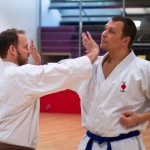 Kyusho Jitsu Seminar in Wien 22 mit Zendoryu und Kyusho GM Manfred Tiefenbach