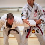 Kyusho Jitsu Seminar in Wien 22 mit Zendoryu und Kyusho GM Manfred Tiefenbach