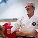 Kyusho Jitsu Seminar in Wien 22 mit Zendoryu und Kyusho GM Manfred Tiefenbach