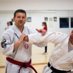 Kyusho Jitsu Seminar in Wien 22 mit Zendoryu und Kyusho GM Manfred Tiefenbach