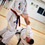 Kyusho Jitsu Seminar in Wien 22 mit Zendoryu und Kyusho GM Manfred Tiefenbach