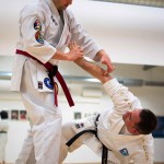 Kyusho Jitsu Seminar in Wien 22 mit Zendoryu und Kyusho GM Manfred Tiefenbach