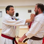 Kyusho Jitsu Seminar in Wien 22 mit Zendoryu und Kyusho GM Manfred Tiefenbach