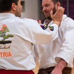 Kyusho Jitsu Seminar in Wien 22 mit Zendoryu und Kyusho GM Manfred Tiefenbach