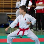 Wiener Karate Landesmeisterschaft 2017 in der PAHO-Halle, Jura-Soyfer-Gasse 3, 1100 Wien