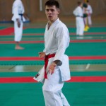 Wiener Karate Landesmeisterschaft 2017 in der PAHO-Halle, Jura-Soyfer-Gasse 3, 1100 Wien