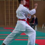 Wiener Karate Landesmeisterschaft 2017 in der PAHO-Halle, Jura-Soyfer-Gasse 3, 1100 Wien