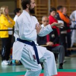 Wiener Karate Landesmeisterschaft 2017 in der PAHO-Halle, Jura-Soyfer-Gasse 3, 1100 Wien