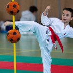 Wiener Karate Landesmeisterschaft 2017 in der PAHO-Halle, Jura-Soyfer-Gasse 3, 1100 Wien