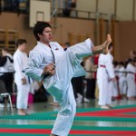 Wiener Karate Landesmeisterschaft 2017 in der PAHO-Halle, Jura-Soyfer-Gasse 3, 1100 Wien