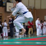 Wiener Karate Landesmeisterschaft 2017 in der PAHO-Halle, Jura-Soyfer-Gasse 3, 1100 Wien