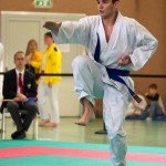 Wiener Karate Landesmeisterschaft 2017 in der PAHO-Halle, Jura-Soyfer-Gasse 3, 1100 Wien