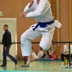 Wiener Karate Landesmeisterschaft 2017 in der PAHO-Halle, Jura-Soyfer-Gasse 3, 1100 Wien