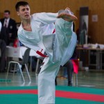 Wiener Karate Landesmeisterschaft 2017 in der PAHO-Halle, Jura-Soyfer-Gasse 3, 1100 Wien