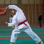 Wiener Karate Landesmeisterschaft 2017 in der PAHO-Halle, Jura-Soyfer-Gasse 3, 1100 Wien