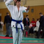 Wiener Karate Landesmeisterschaft 2017 in der PAHO-Halle, Jura-Soyfer-Gasse 3, 1100 Wien