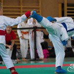 Wiener Karate Landesmeisterschaft 2017 in der PAHO-Halle, Jura-Soyfer-Gasse 3, 1100 Wien