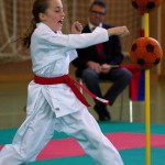 Wiener Karate Landesmeisterschaft 2017 in der PAHO-Halle, Jura-Soyfer-Gasse 3, 1100 Wien