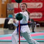 Wiener Karate Landesmeisterschaft 2017 in der PAHO-Halle, Jura-Soyfer-Gasse 3, 1100 Wien