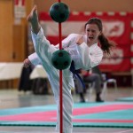 Wiener Karate Landesmeisterschaft 2017 in der PAHO-Halle, Jura-Soyfer-Gasse 3, 1100 Wien