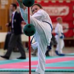 Wiener Karate Landesmeisterschaft 2017 in der PAHO-Halle, Jura-Soyfer-Gasse 3, 1100 Wien