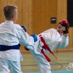 Wiener Karate Landesmeisterschaft 2017 in der PAHO-Halle, Jura-Soyfer-Gasse 3, 1100 Wien