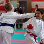 Wiener Karate Landesmeisterschaft 2017 in der PAHO-Halle, Jura-Soyfer-Gasse 3, 1100 Wien