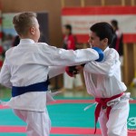 Wiener Karate Landesmeisterschaft 2017 in der PAHO-Halle, Jura-Soyfer-Gasse 3, 1100 Wien