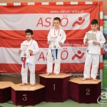 Wiener Karate Landesmeisterschaft 2017 in der PAHO-Halle, Jura-Soyfer-Gasse 3, 1100 Wien