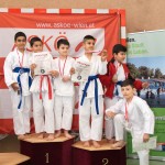 Wiener Karate Landesmeisterschaft 2017 in der PAHO-Halle, Jura-Soyfer-Gasse 3, 1100 Wien