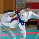 Wiener Karate Landesmeisterschaft 2017 in der PAHO-Halle, Jura-Soyfer-Gasse 3, 1100 Wien