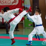 Wiener Karate Landesmeisterschaft 2017 in der PAHO-Halle, Jura-Soyfer-Gasse 3, 1100 Wien