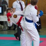 Wiener Karate Landesmeisterschaft 2017 in der PAHO-Halle, Jura-Soyfer-Gasse 3, 1100 Wien