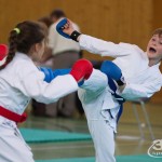 Wiener Karate Landesmeisterschaft 2017 in der PAHO-Halle, Jura-Soyfer-Gasse 3, 1100 Wien