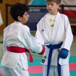 Wiener Karate Landesmeisterschaft 2017 in der PAHO-Halle, Jura-Soyfer-Gasse 3, 1100 Wien