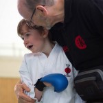 Wiener Karate Landesmeisterschaft 2017 in der PAHO-Halle, Jura-Soyfer-Gasse 3, 1100 Wien