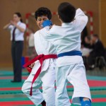 Wiener Karate Landesmeisterschaft 2017 in der PAHO-Halle, Jura-Soyfer-Gasse 3, 1100 Wien