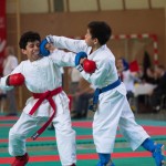 Wiener Karate Landesmeisterschaft 2017 in der PAHO-Halle, Jura-Soyfer-Gasse 3, 1100 Wien