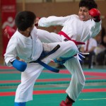 Wiener Karate Landesmeisterschaft 2017 in der PAHO-Halle, Jura-Soyfer-Gasse 3, 1100 Wien