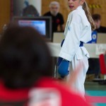 Wiener Karate Landesmeisterschaft 2017 in der PAHO-Halle, Jura-Soyfer-Gasse 3, 1100 Wien